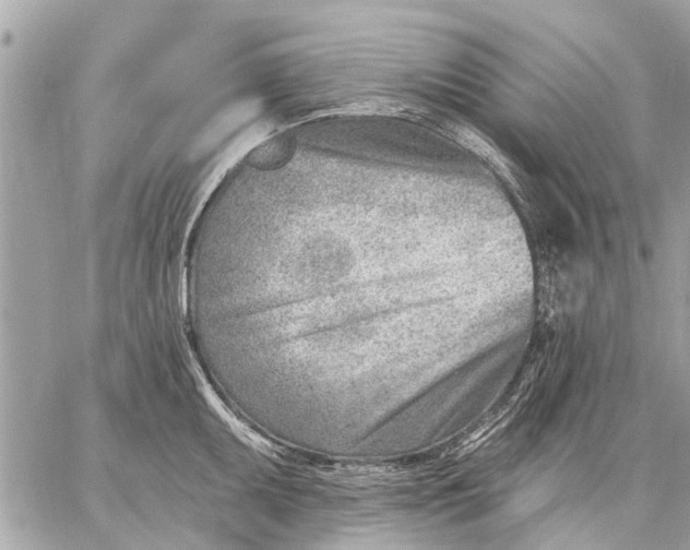 X0000059061095200510281626