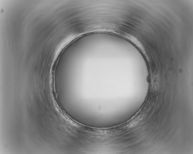 X0000059061096200510281626