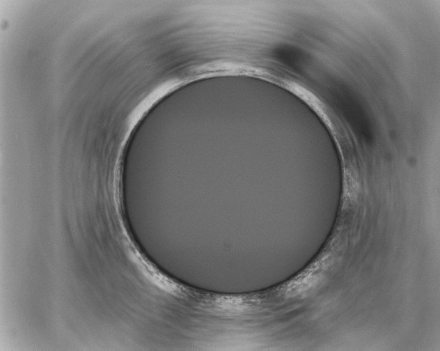 X0000059061098200510281626