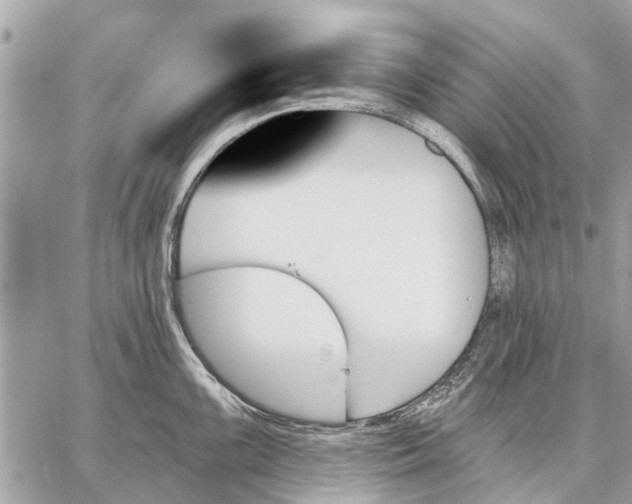 X0000059061099200510281626