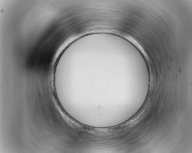 X0000059061101200510281626