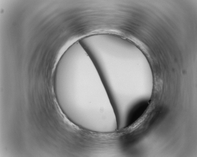 X0000059061102200510281626