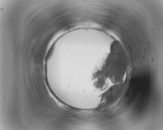 X0000059061103200510281626