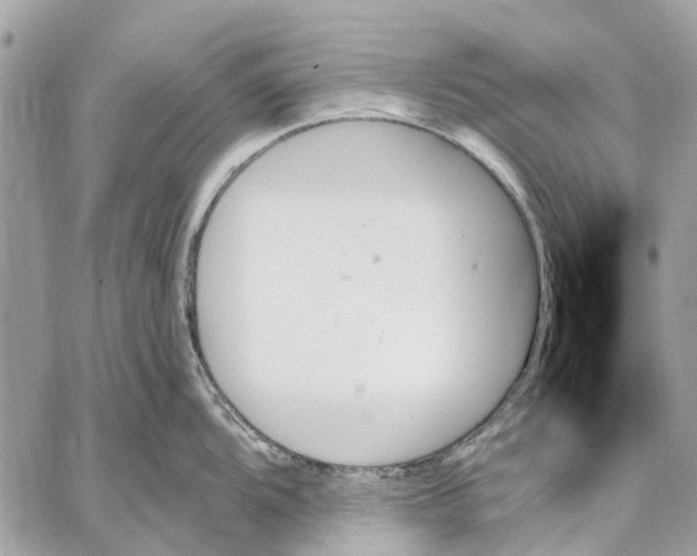 X0000059061104200510281626