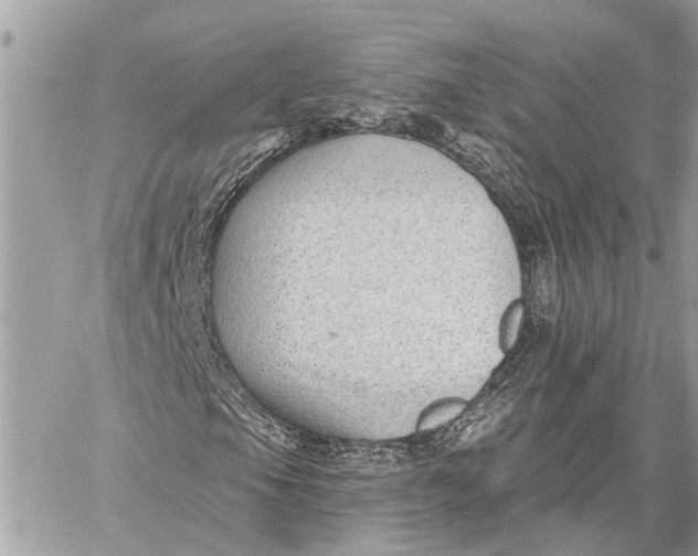 X0000059061105200510281625