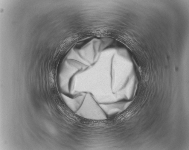 X0000059061106200510281625