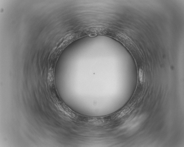 X0000059061107200510281625