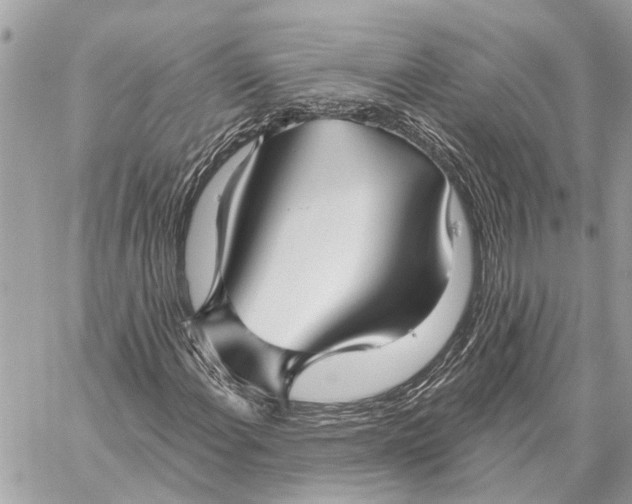 X0000059061108200510281625