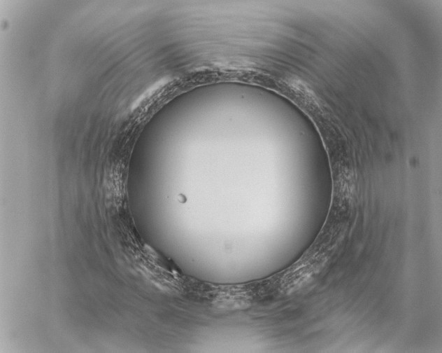 X0000059061110200510281625