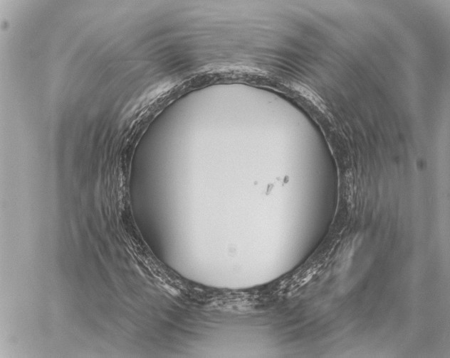 X0000059061111200510281625