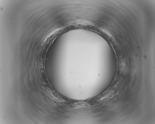 X0000059061112200510281625