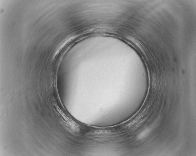 X0000059061115200510281625