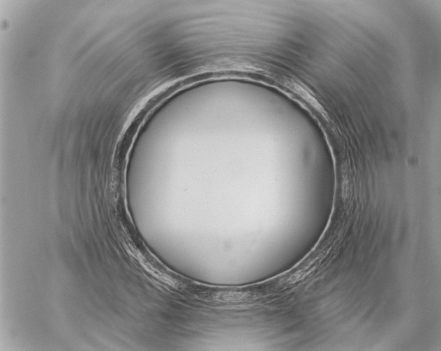 X0000059061116200510281625