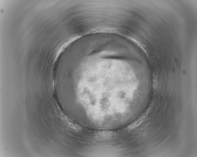 X0000059061117200510281625