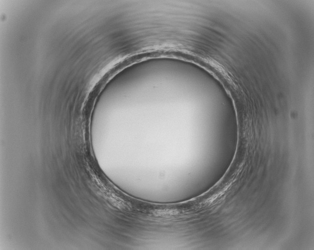 X0000059061118200510281625