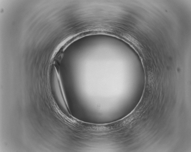 X0000059061120200510281625