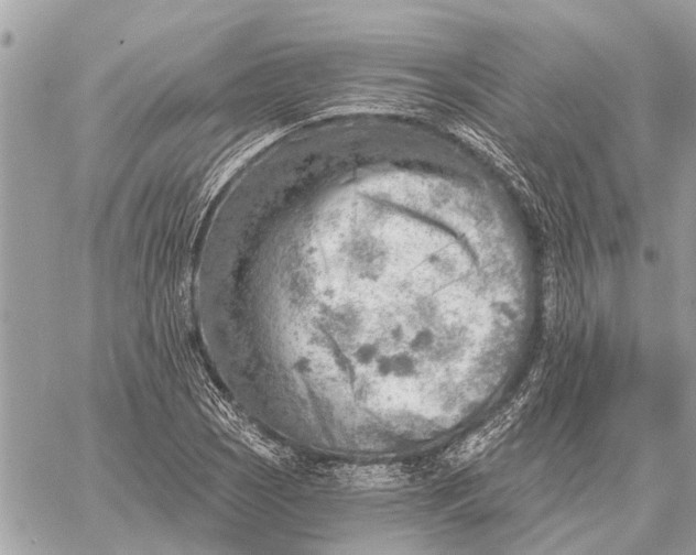 X0000059061121200510281626