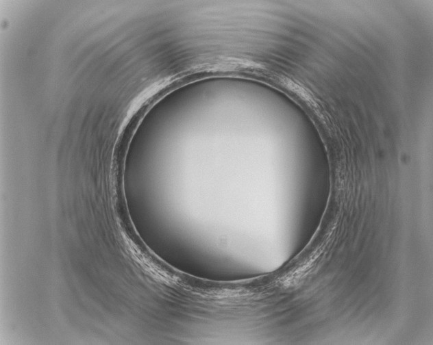 X0000059061122200510281626