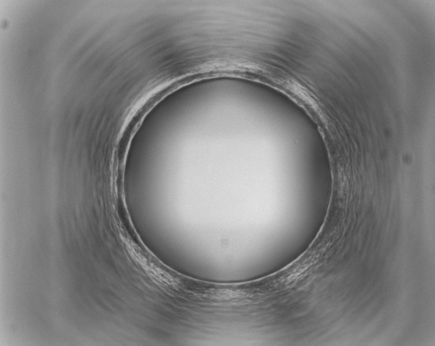 X0000059061124200510281626