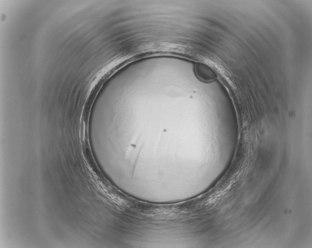 X0000059061125200510281626