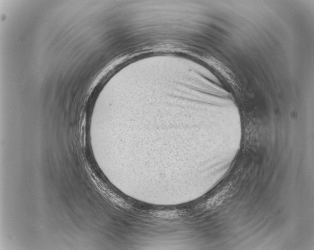 X0000059061126200510281626