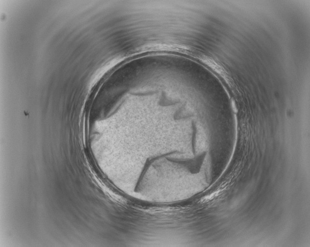 X0000059061127200510281626