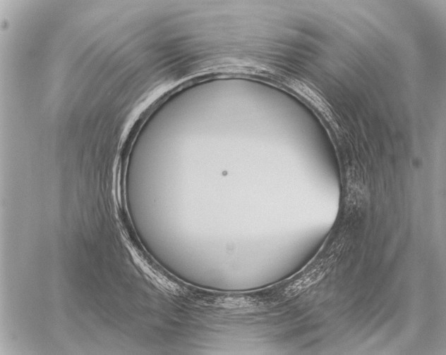 X0000059061128200510281626