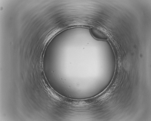 X0000059061129200510281626