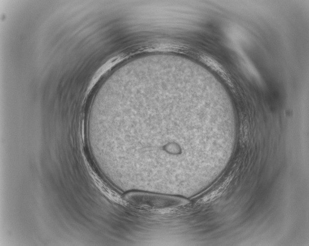 X0000059061130200510281626