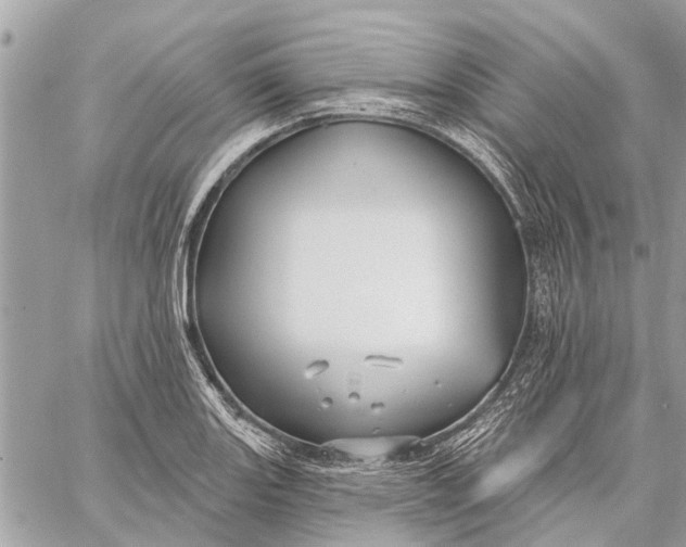 X0000059061131200510281626