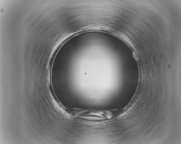 X0000059061132200510281626