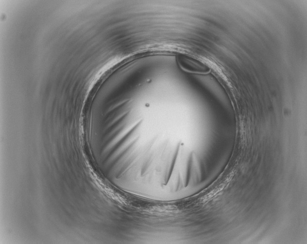 X0000059061133200510281626