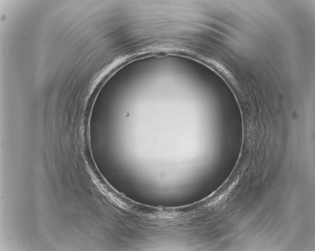 X0000059061134200510281626