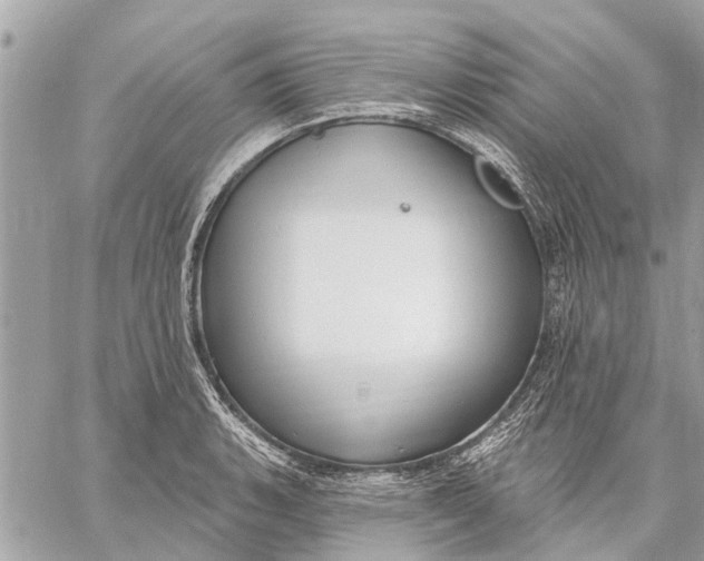 X0000059061135200510281626