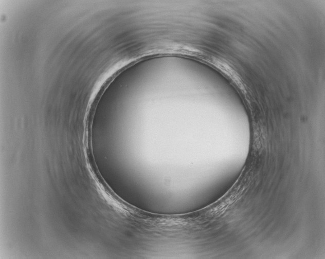 X0000059061136200510281626