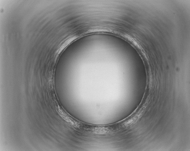 X0000059061137200510281626