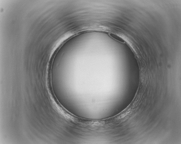 X0000059061139200510281626