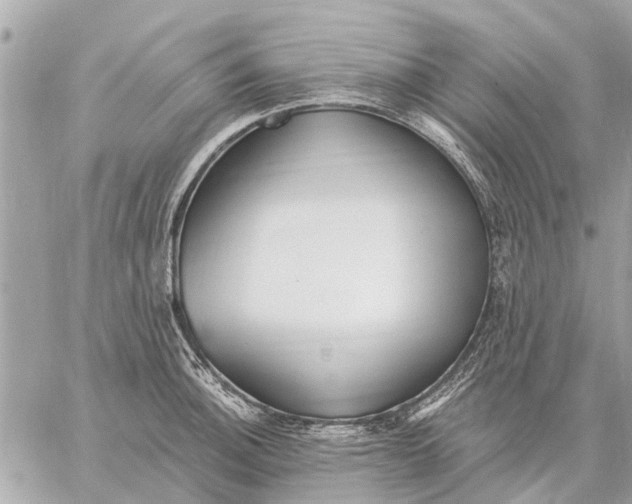 X0000059061140200510281626