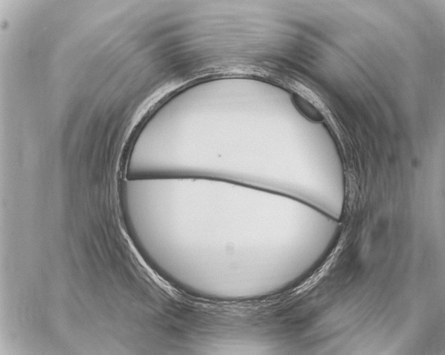 X0000059061141200510281626