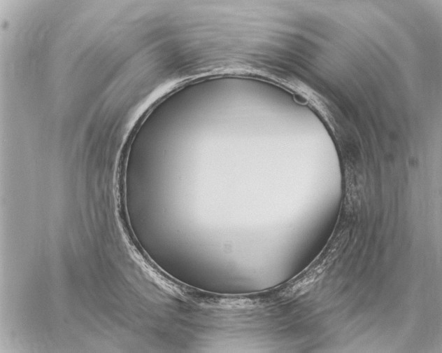 X0000059061142200510281626