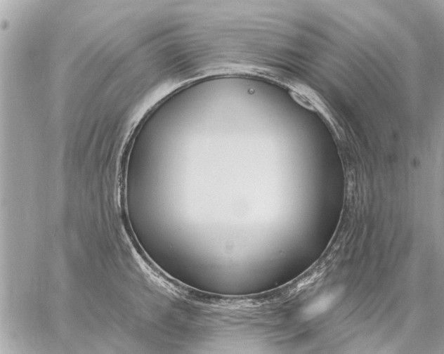 X0000059061143200510281626