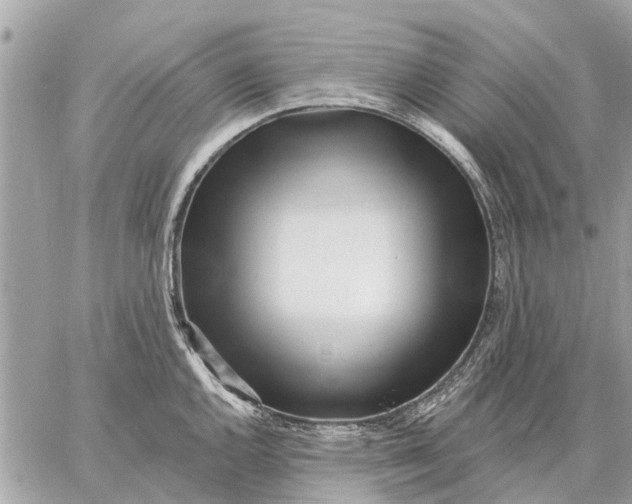 X0000059061144200510281626