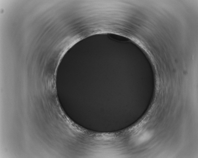 X0000059061145200510281626