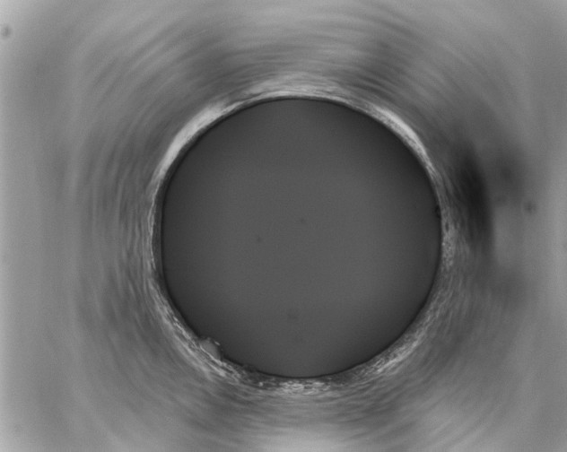 X0000059061146200510281626