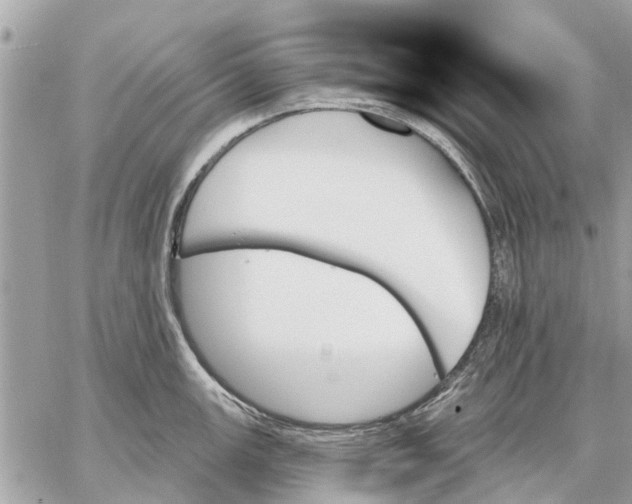 X0000059061147200510281626