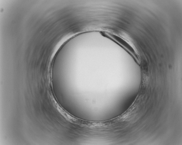 X0000059061148200510281626