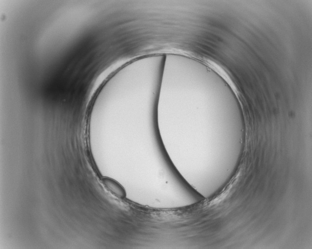 X0000059061149200510281626