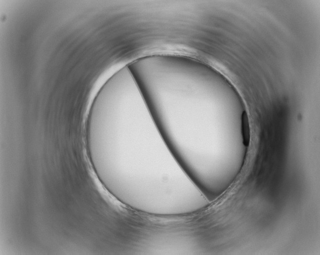 X0000059061152200510281626