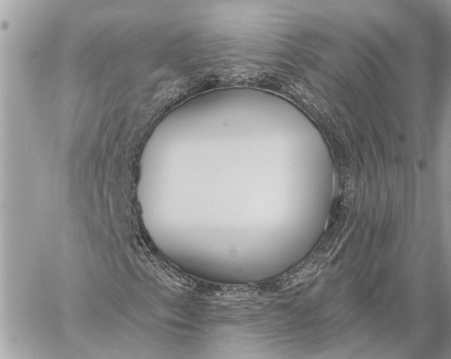 X0000059061153200510281625