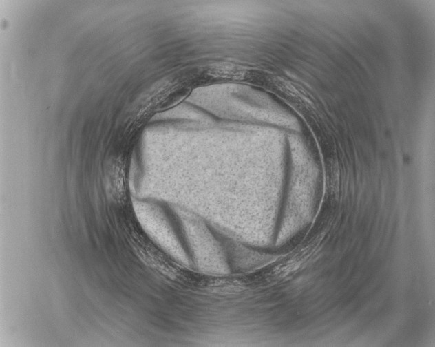 X0000059061154200510281625